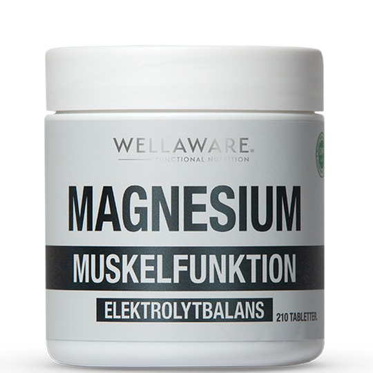 Magnesium 210 Minitabletter
