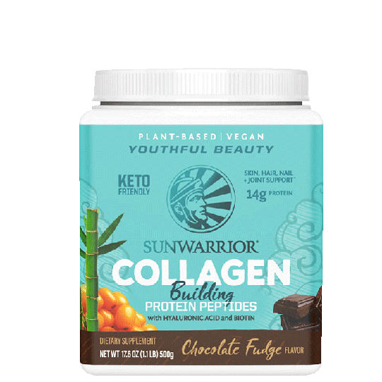 Plant Based Collagen Building Protein Peptides Chocolate Fudge, 500 g