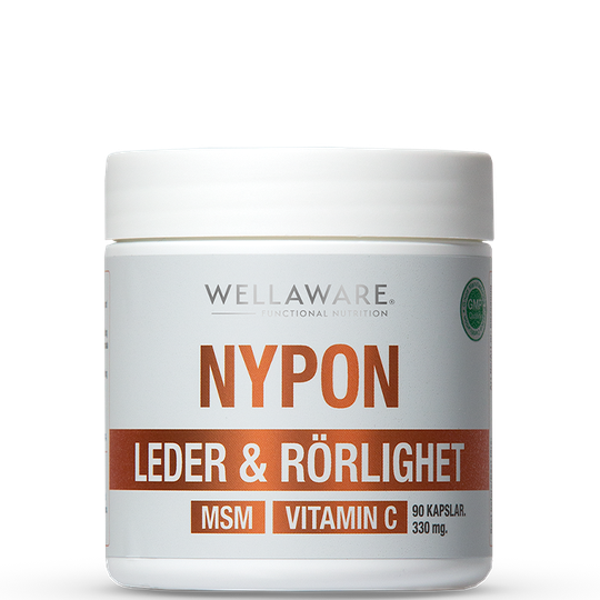 Nypon MSM Vitamin C 90 Kapslar