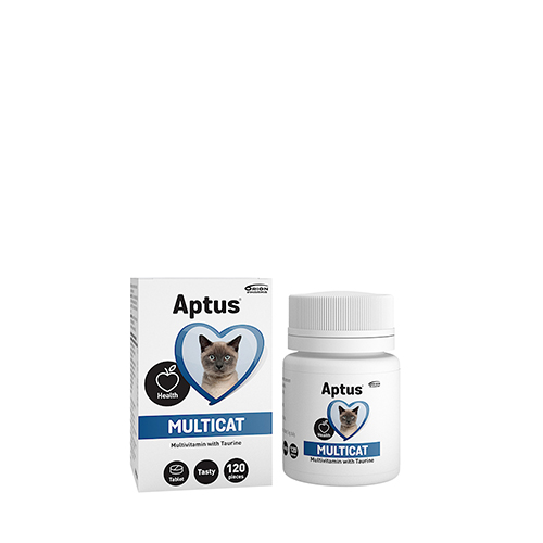 Aptus Multicat tabl, 120 st