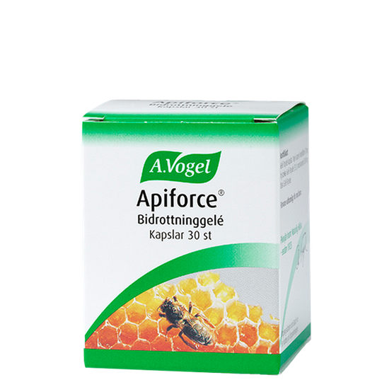 Apiforce Bidrottninggele