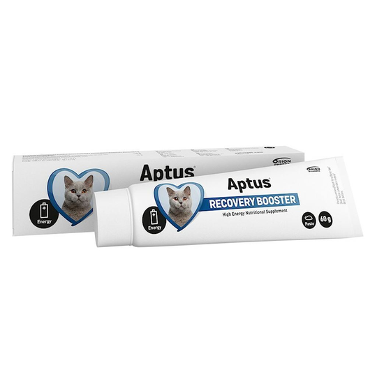Aptus Recovery Booster Cat Pasta 60 g